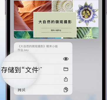 红山apple维修中心分享iPhone文件应用中存储和找到下载文件