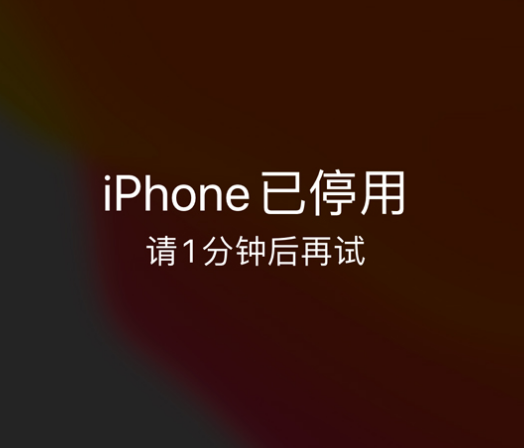 红山苹果手机维修分享:iPhone 显示“不可用”或“已停用”怎么办？还能保留数据吗？ 