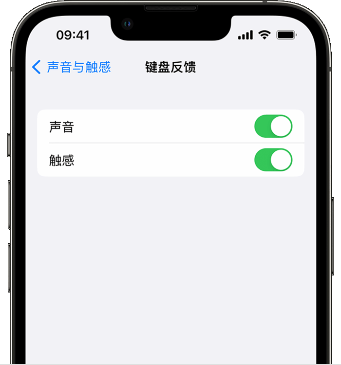 红山苹果14维修店分享如何在 iPhone 14 机型中使用触感键盘 