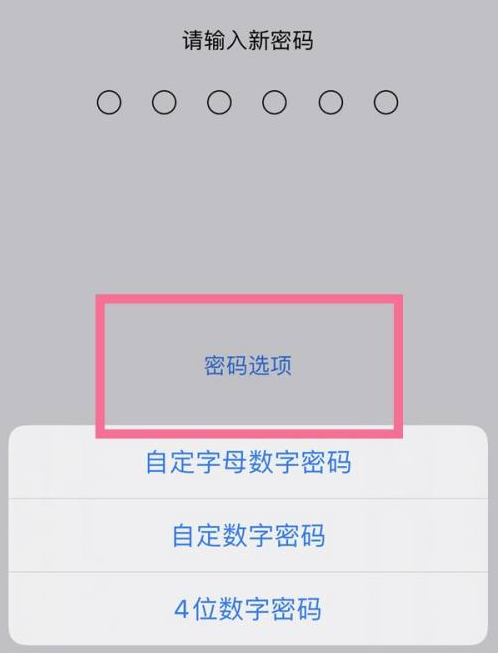 红山苹果14维修分享iPhone 14plus设置密码的方法 