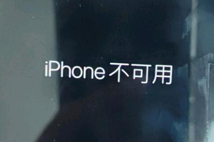 红山苹果服务网点分享锁屏界面显示“iPhone 不可用”如何解决 