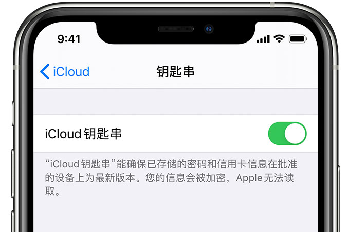 红山苹果手机维修分享在 iPhone 上开启 iCloud 钥匙串之后会储存哪些信息 