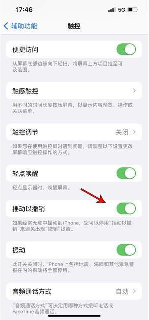 红山苹果手机维修分享iPhone手机如何设置摇一摇删除文字 